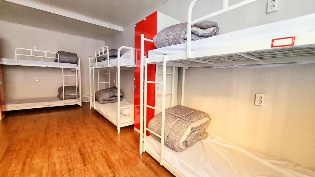 A quiet guesthouse dorm with bunk beds