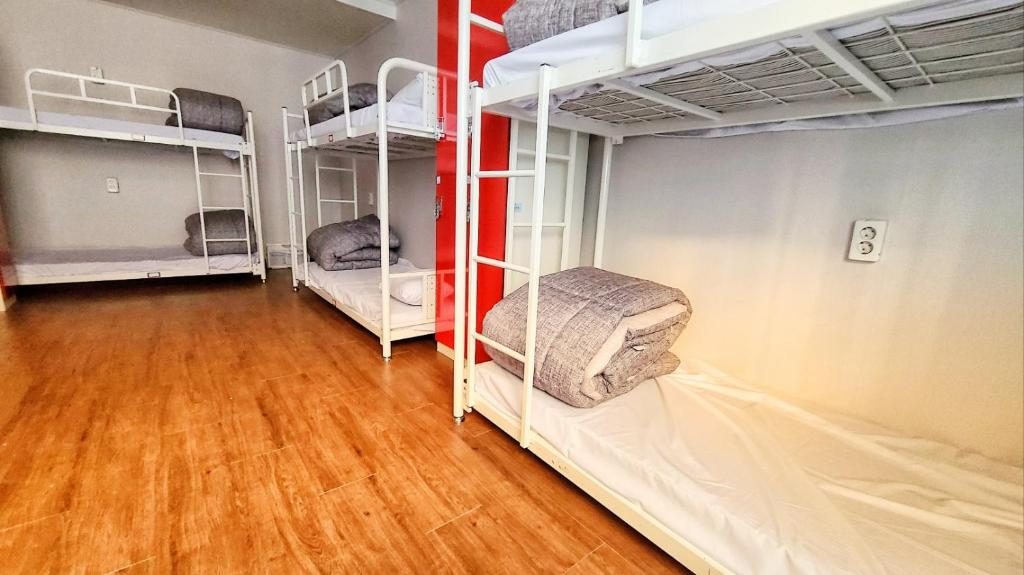 Bunk beds in a guesthouse dormitory room