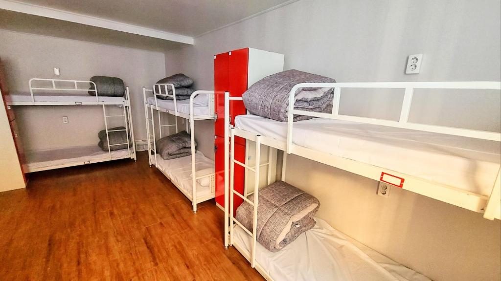 A hostel dorm room with bunk beds, the kind of room and bed data you move into a new PMS first