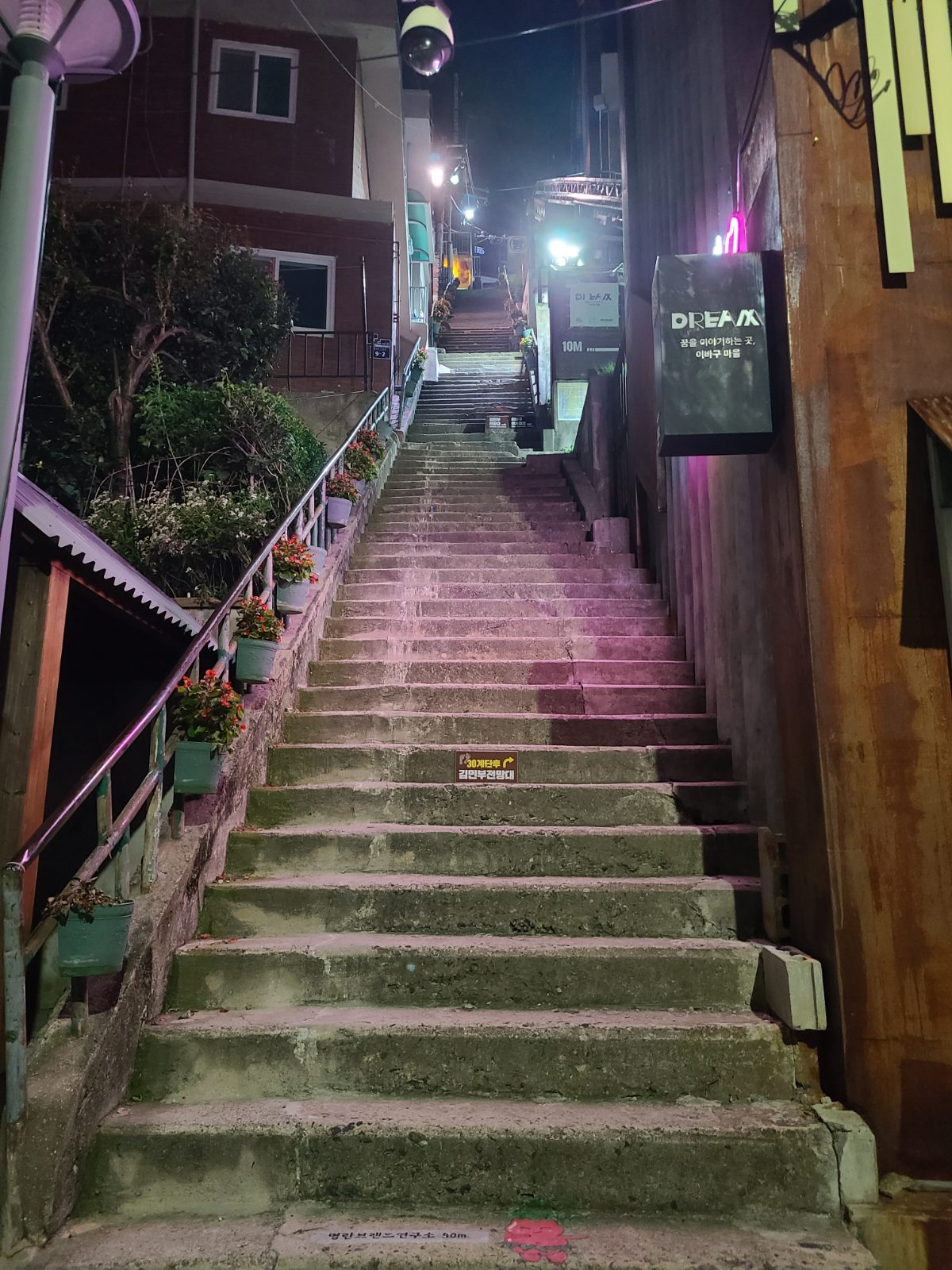 The guesthouse entrance and alley stairs at night